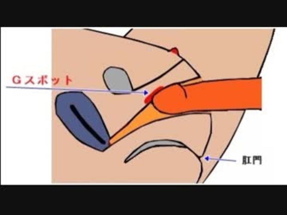 男のGスポット】前立腺の見つけ方を伝授！貴女無しでは生きれない体に・・・ - YouTube