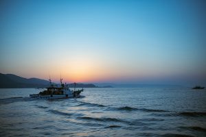 谷口海産@taniguchikaisan• Instagram photos and videos