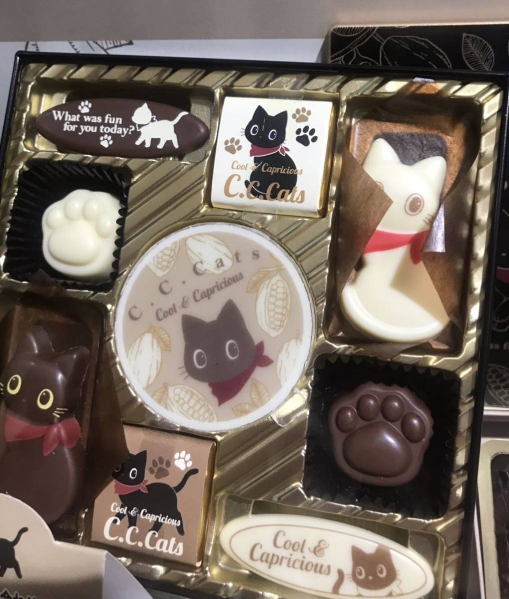 C.C.Cats Chocolate Gift