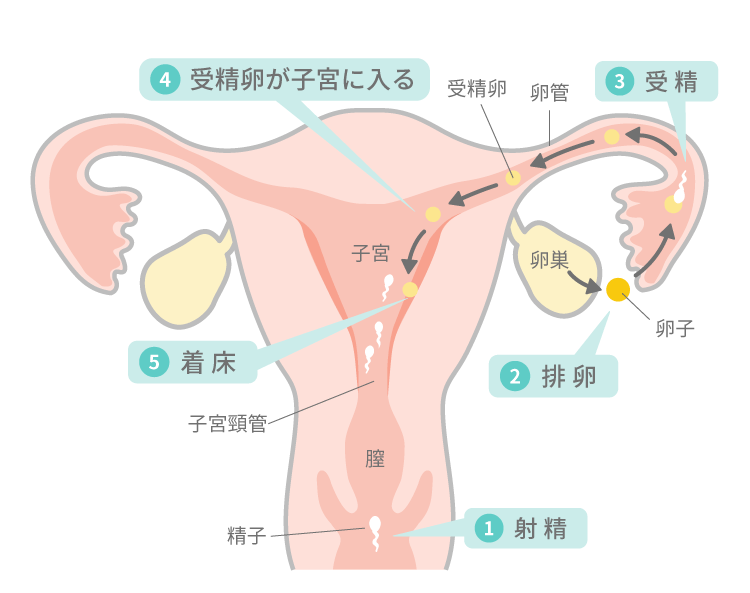 AV女優の「HIV感染」公表 いつもは穏やかな男優が激高しだした