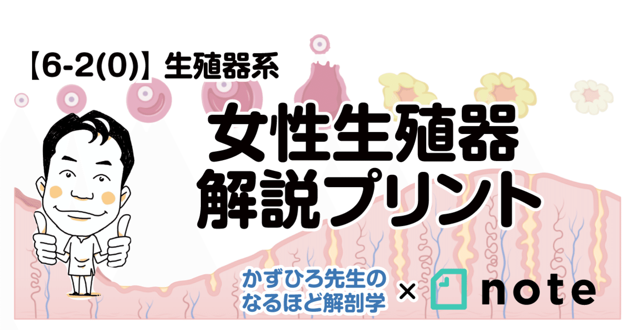 ゆあ(23)さんのインタビュー｜RANKAN-ランカン-(岡山 デリヘル) NO.015｜風俗求人【バニラ】で高収入バイト