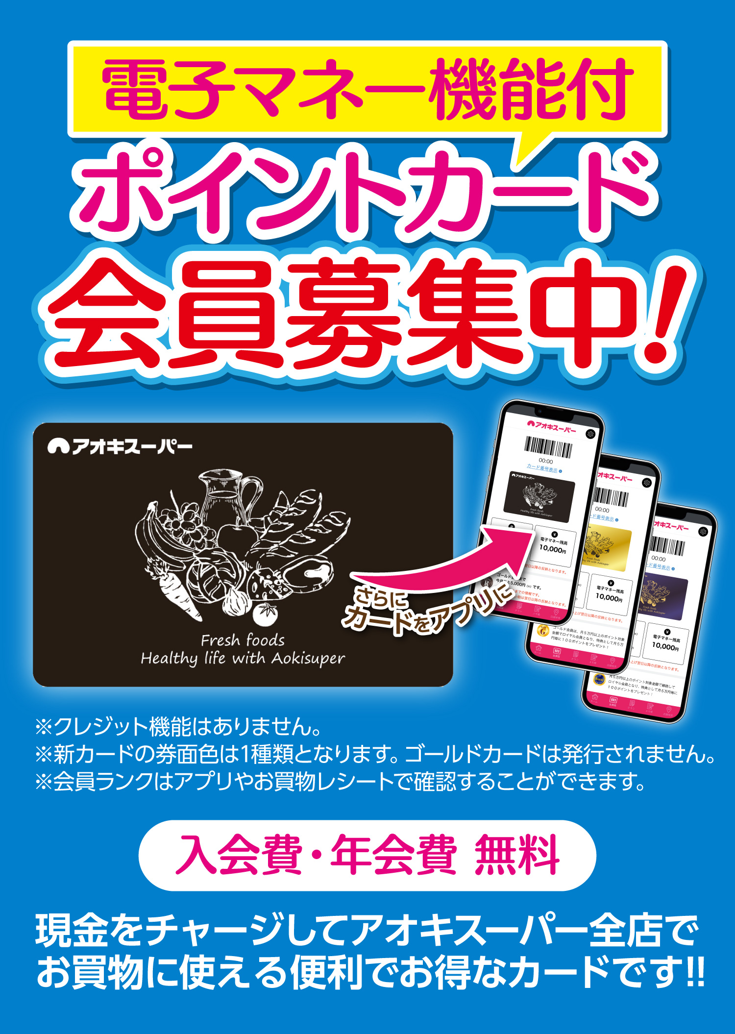 ポイントカード 顧客カード の作り方販売管理H200取扱説明書 アスネット売上・仕入・在庫・POSレジ