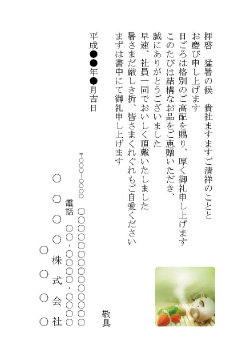 詩ちづる お礼状 年賀状 お礼状 お中元・お歳暮 ビジネス用はがき例文即日印刷