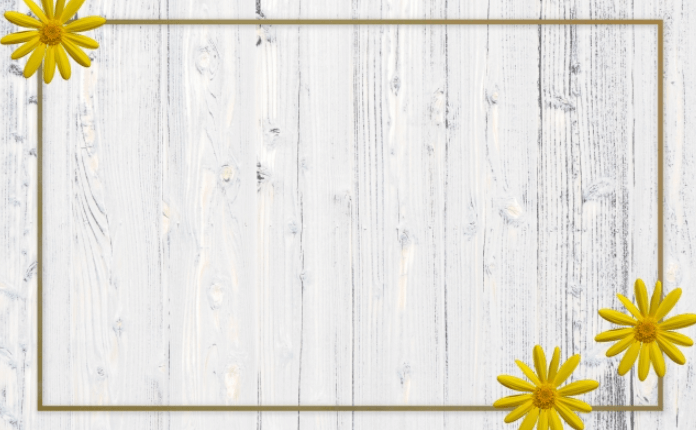 プレゼンテーションテンプレートでおしゃれなパワーポイントデザインやプレゼン資料、パワポスライドを無料で作成！Canva