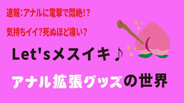 2024年最新版】アナルバルーンおすすめ6選！アナル拡張・開発できる商品は？ | WEB MATE