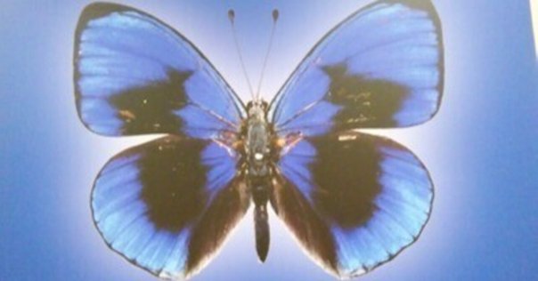 好きな県・嫌いな県」ランキング！1124名に都道府県イメージ調査『週刊ダイヤモンド』特別レポートダイヤモンド・オンライン