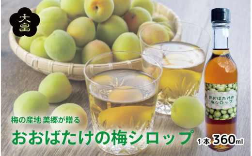 徳島・美郷の蔵出し梅酒大畠酒造