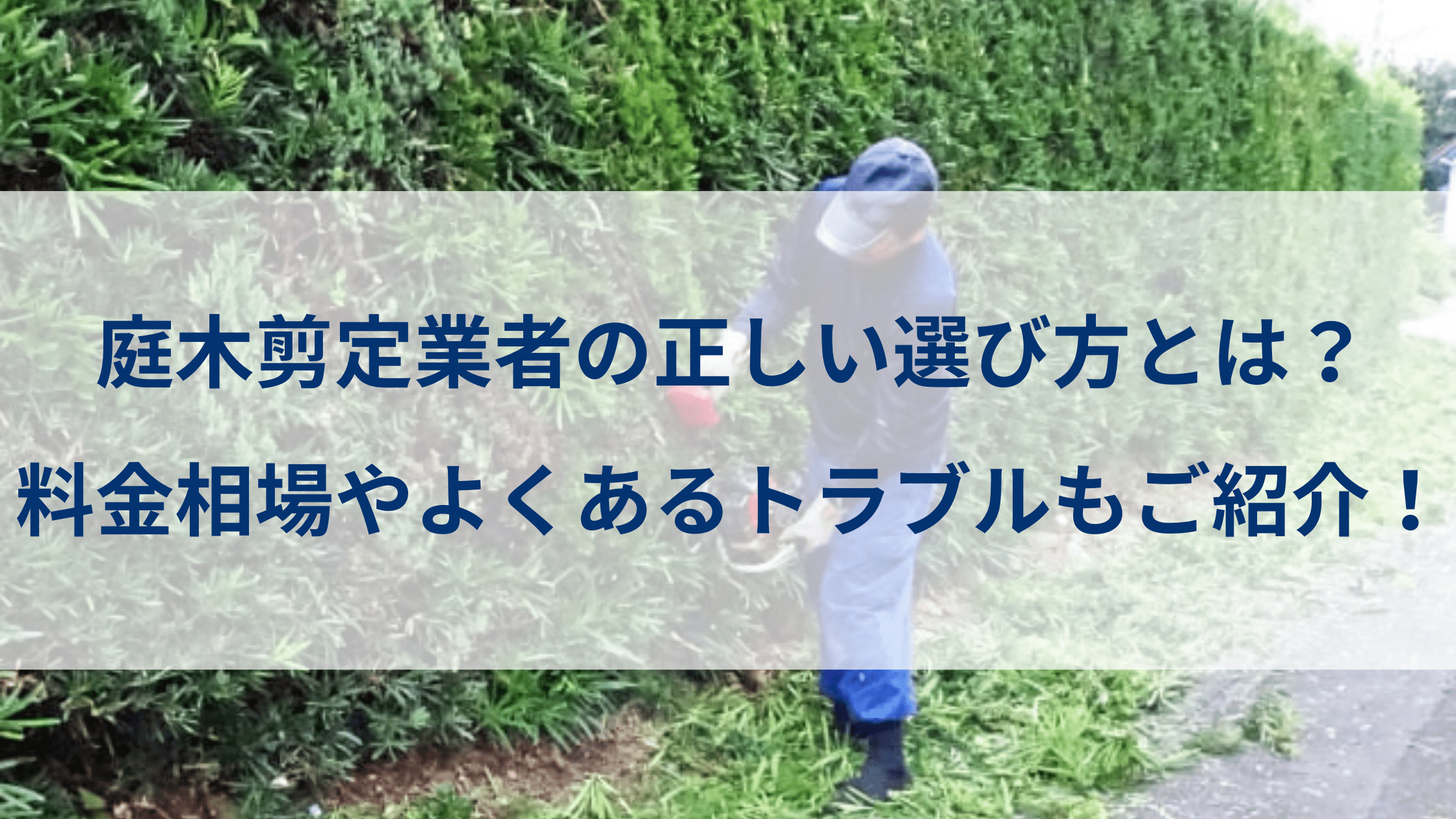 剪定料金の相場まとめと節約のコツ！知れば上手に業者選びができる生活110番