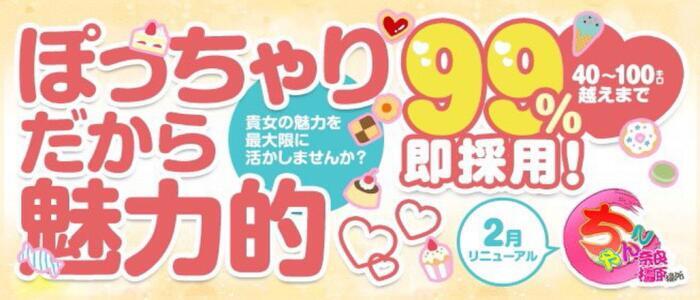 橿原市でぽっちゃり・おデブさん歓迎のデリヘル求人｜高収入バイトなら【ココア求人】で検索！