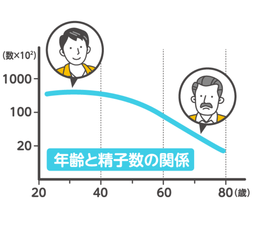 受精や着床など 妊娠の流れや仕組み | 木場公園クリニック-JISART認定