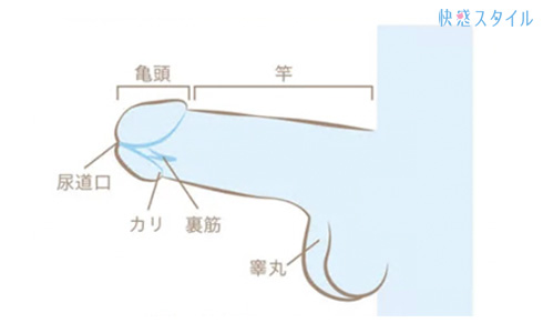 手 マン いかせる : ナマヤバ