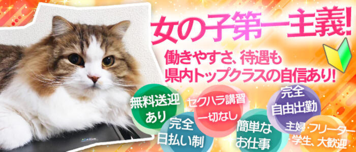 稼ぎたい人必見！】デリヘルドライバーの仕事内容について、一日の流れ・給与・稼ぎ方を徹底解説！｜野郎WORKマガジン