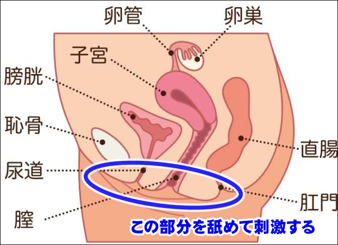 クンニリングスのやり方！上級クンニテク - 夜の保健室