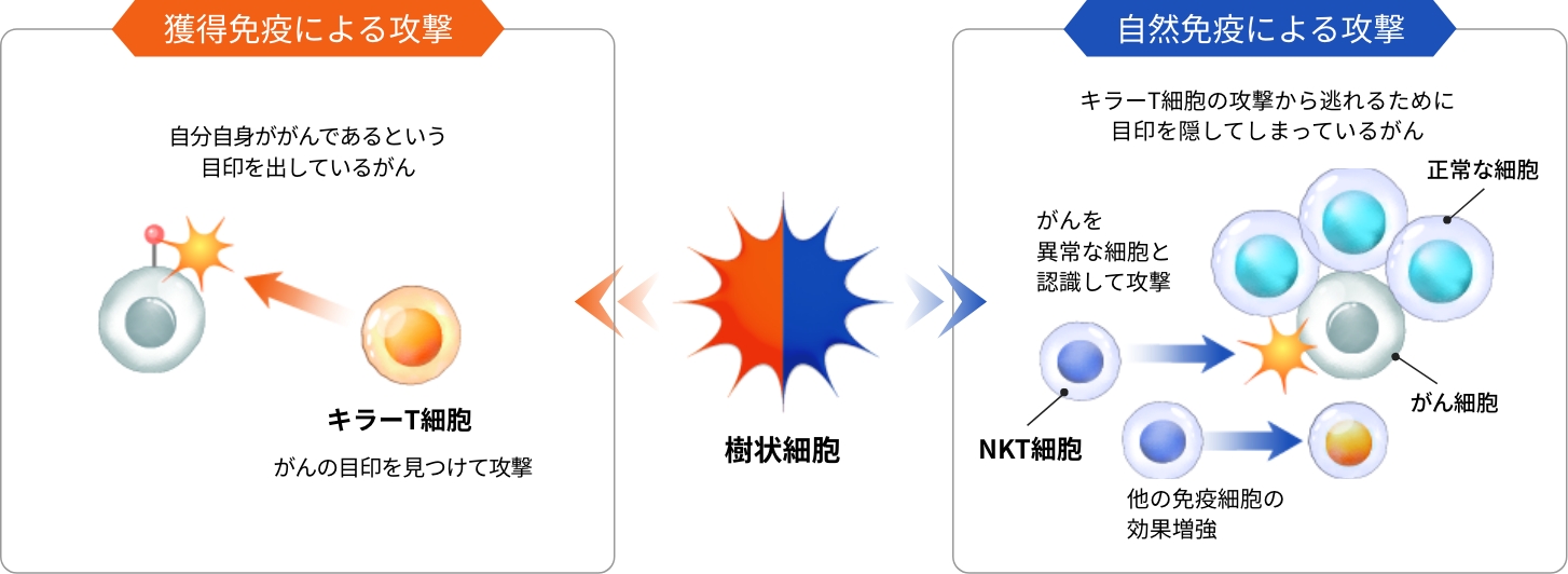 瀬田クリニック東京｜がん治療 専門医療機関