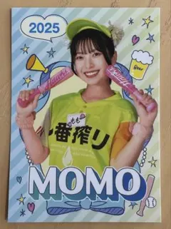 東京ドーム名物！ビールの売り子さん - 牛込・神楽坂 酒問屋 升本総本店の別館「涵清閣」 主人が語る