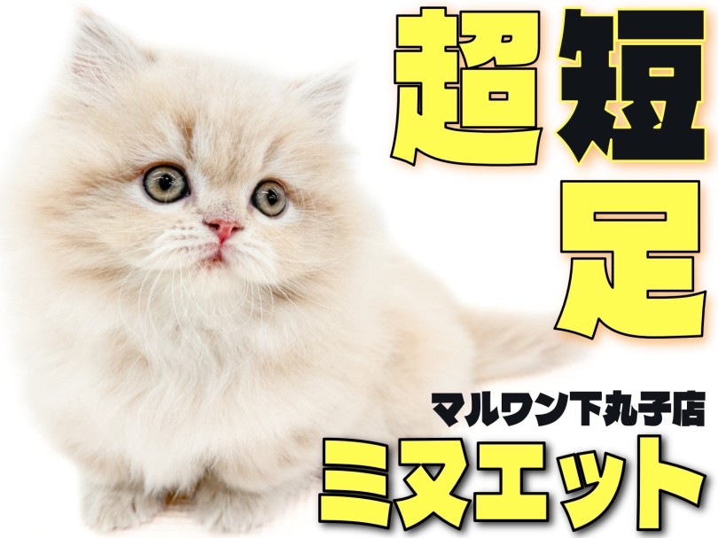 湯乃市 藤沢柄沢店【死海の塩のクレオパトラの炭酸泉(*´з`)平日730円～】: 健康ランドdeまったり