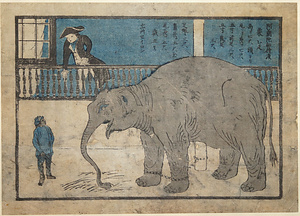 駱组词_駱的部首_駱的笔画？高考必考！ - 掌上高考- 掌上高考