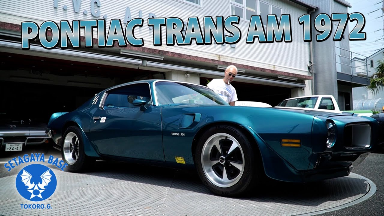 Amazon.co.jp: 1973 1974 1975 1976 1977 1978 ポンティアック ファイヤーバード トランザムデカール&ストライプキット - ゴールド クリア : 車＆バイク