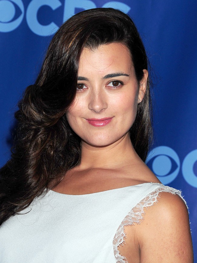 コートデパブロのNCIS降板理由は契約切れ？復活決定？ 恋人や結婚相手、歌や現在など、Wiki的プロフィールにぎわす