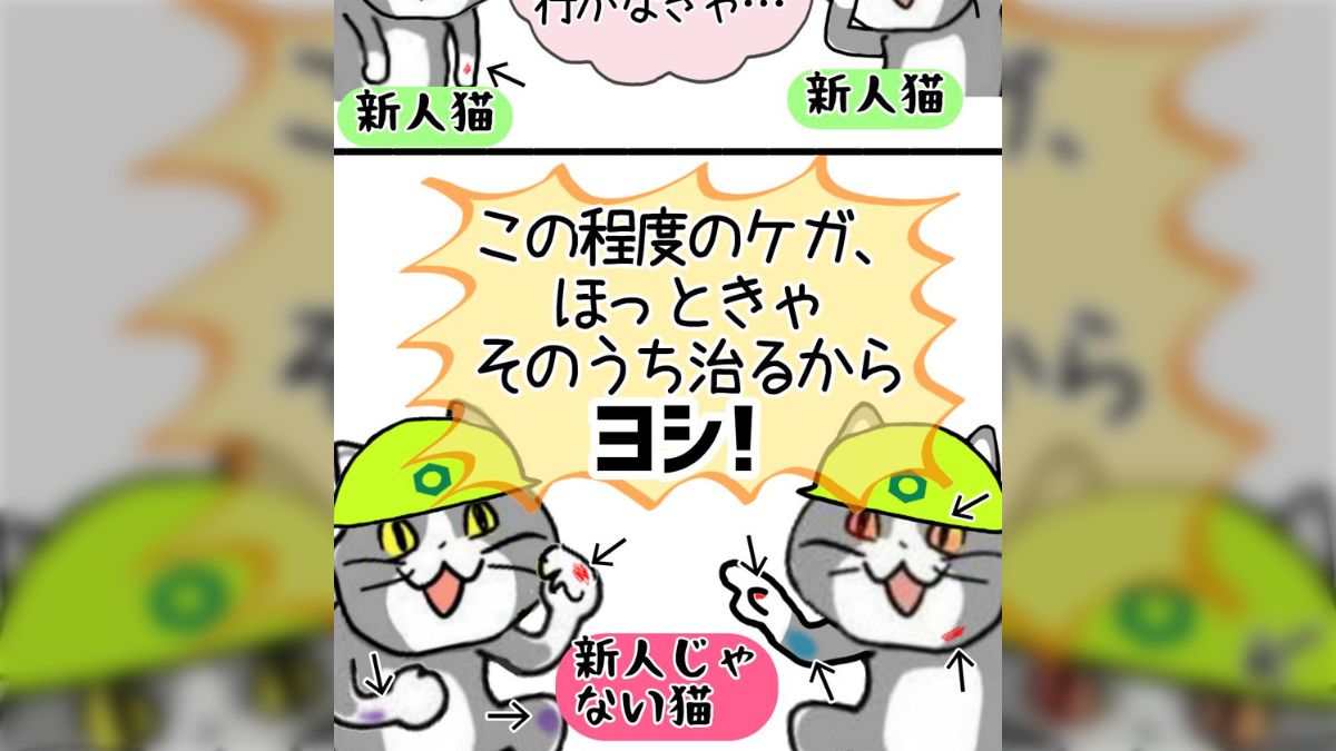 人気の仕事猫 が安全ポスターになった！職場では「なかなかの圧迫感」「 職場で 推薦したけどダメだった」個人でも買えるよ - Togetter