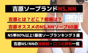 吉原ソープの料金相場【ヴェルサイユ】