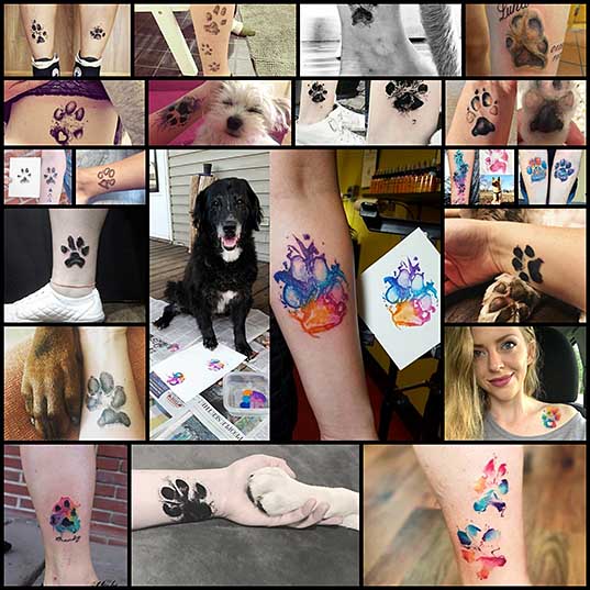 焼 ブランディング 印mixiコミュニティ