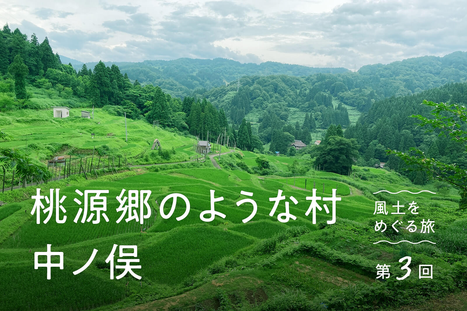 心癒やすアジサイ 門川・私設庭園「桃源郷岬」 120種200万本見ごろ ／宮崎