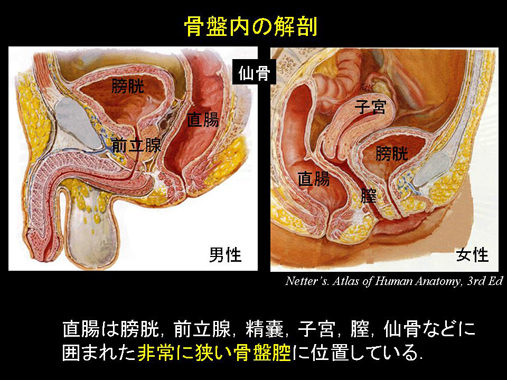 アナルの性感帯はどこ？男女それぞれの感じる場所を徹底解説