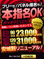 安城発でおすすめのデリヘル｜夜遊びガイド三河版