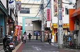 五龍神様のすまう田無の杜 ✳️田無神社 | 50ans