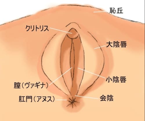 男性必見！正しいまんこの触り方・愛撫の方法とは？現役風俗嬢が