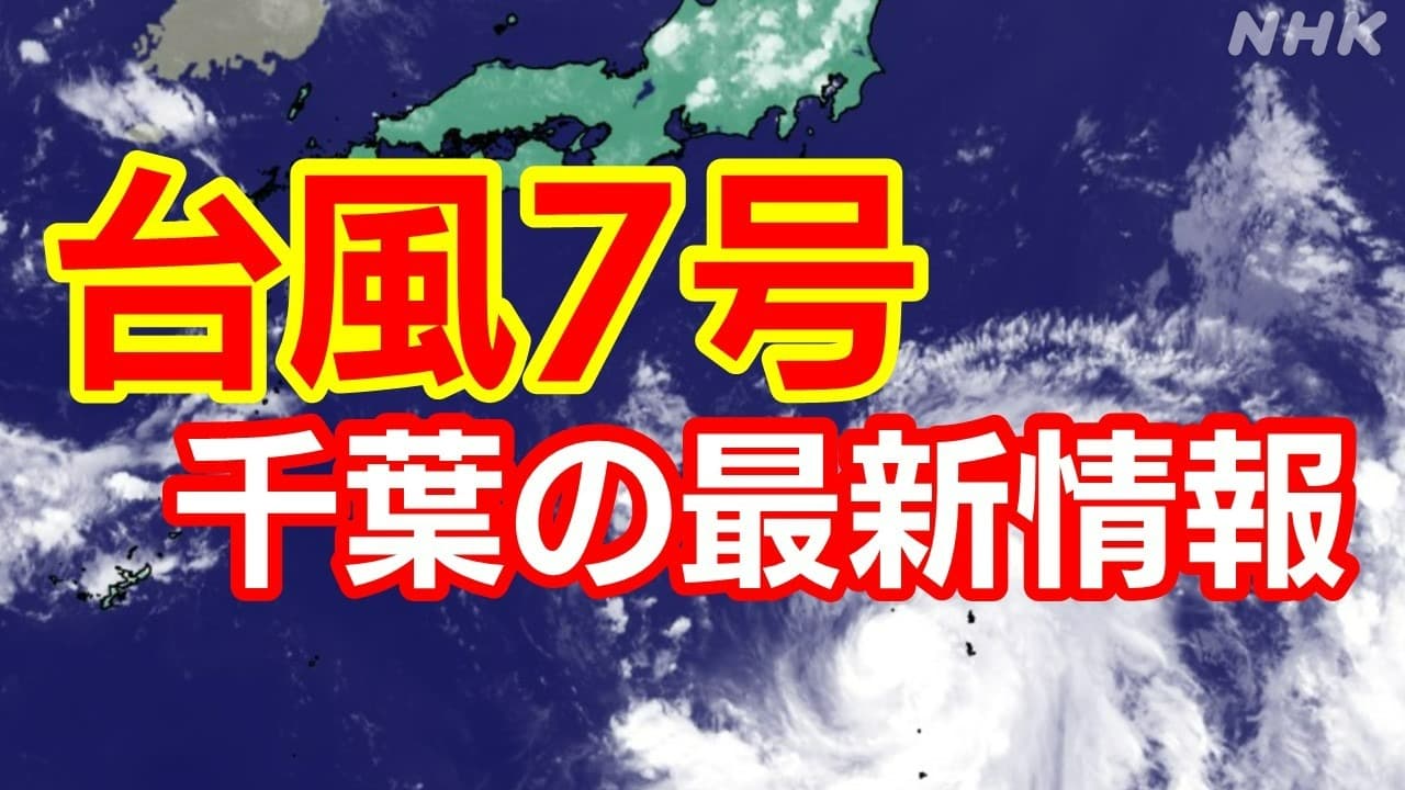 館山（千葉県館山市）の潮見表・潮汐表・波の高さ｜【2023年最新版】 | 釣りラボマガジン