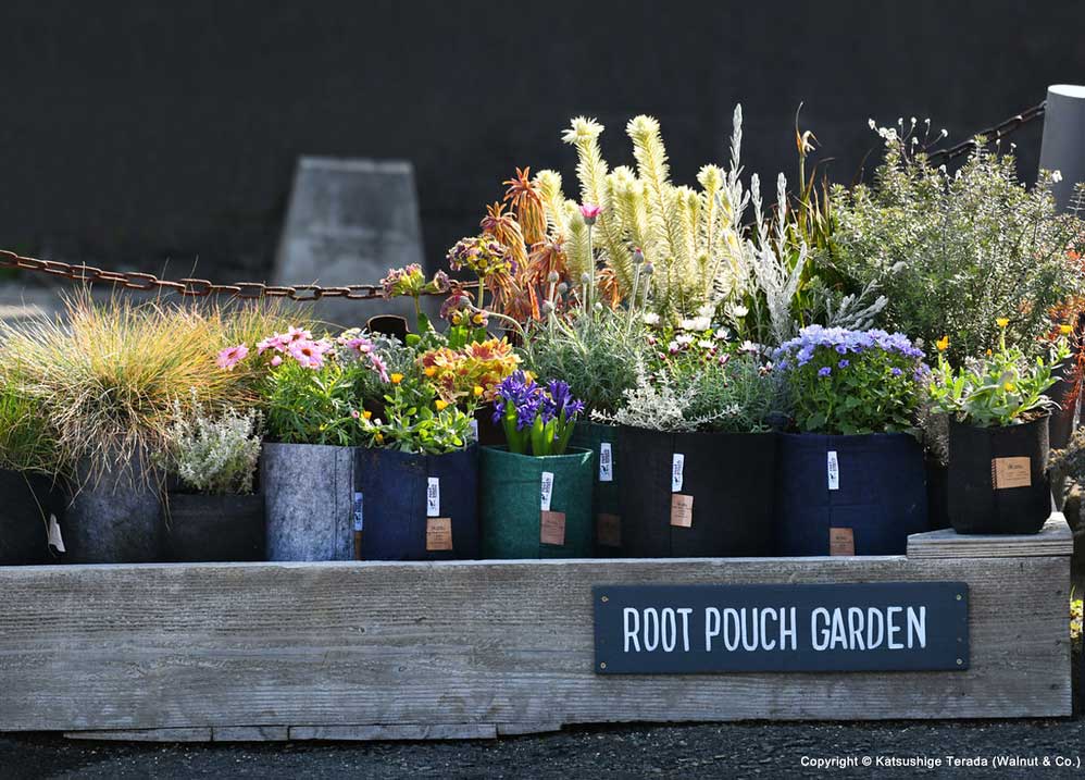 Root Pouchリサイクル素材から作られた不織布製のサステナブルな植木鉢ルーツポーチ