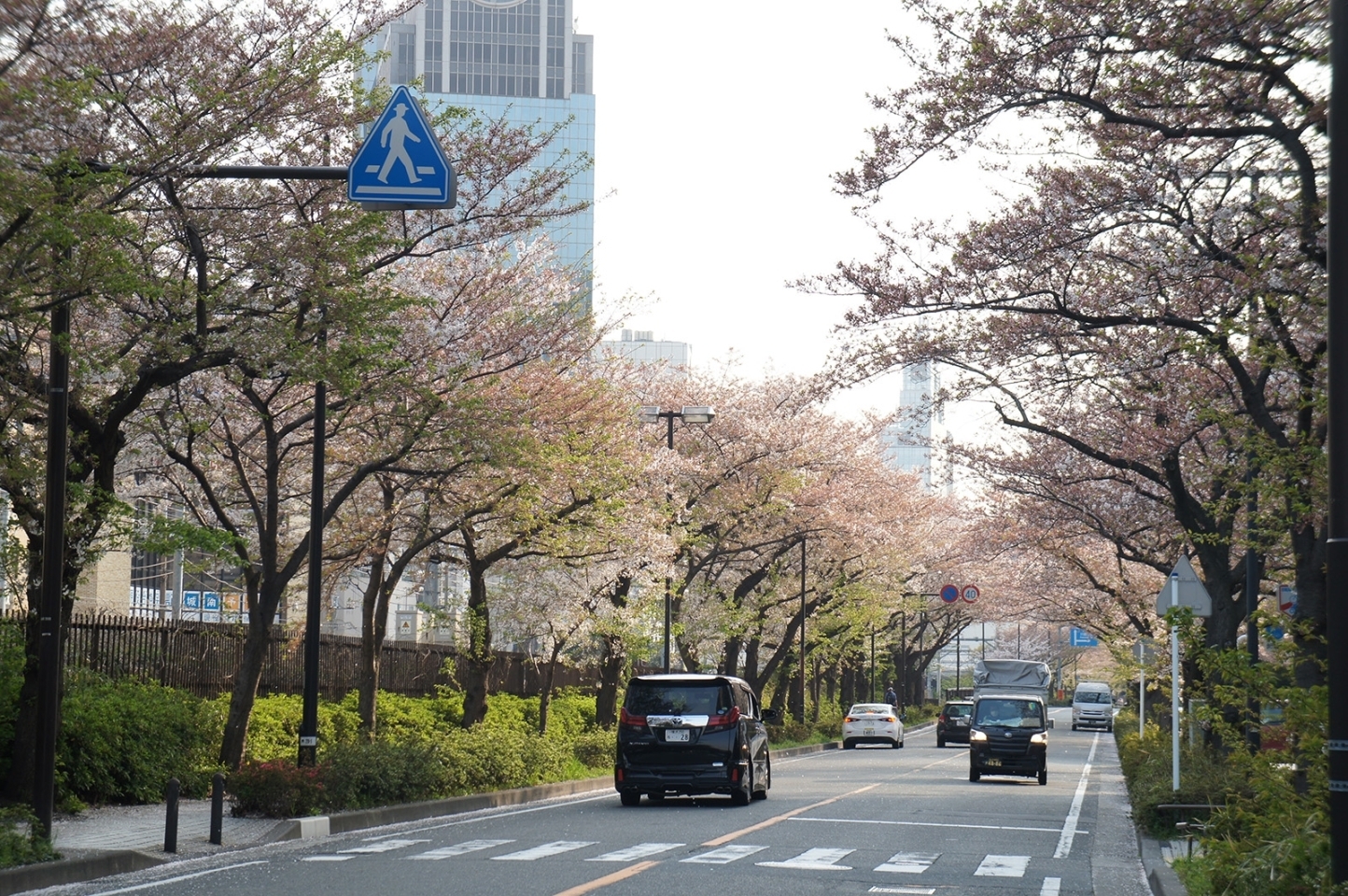 万歩計 首都圏の鉄道 小田急 小田原線H2403