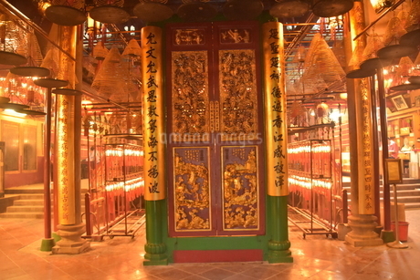 先行予約 梨 秀品 荒尾梨 新ブランド 愛称「ことのみ」 あきづき 5kg フルーツ 果物 旬 贈答 ギフト9月上旬-9月中旬頃出荷 熊本県荒尾市産含む JAたまな荒尾梨部会 - 熊本県荒尾市ふるさとチョイス - ふるさと納税サイト