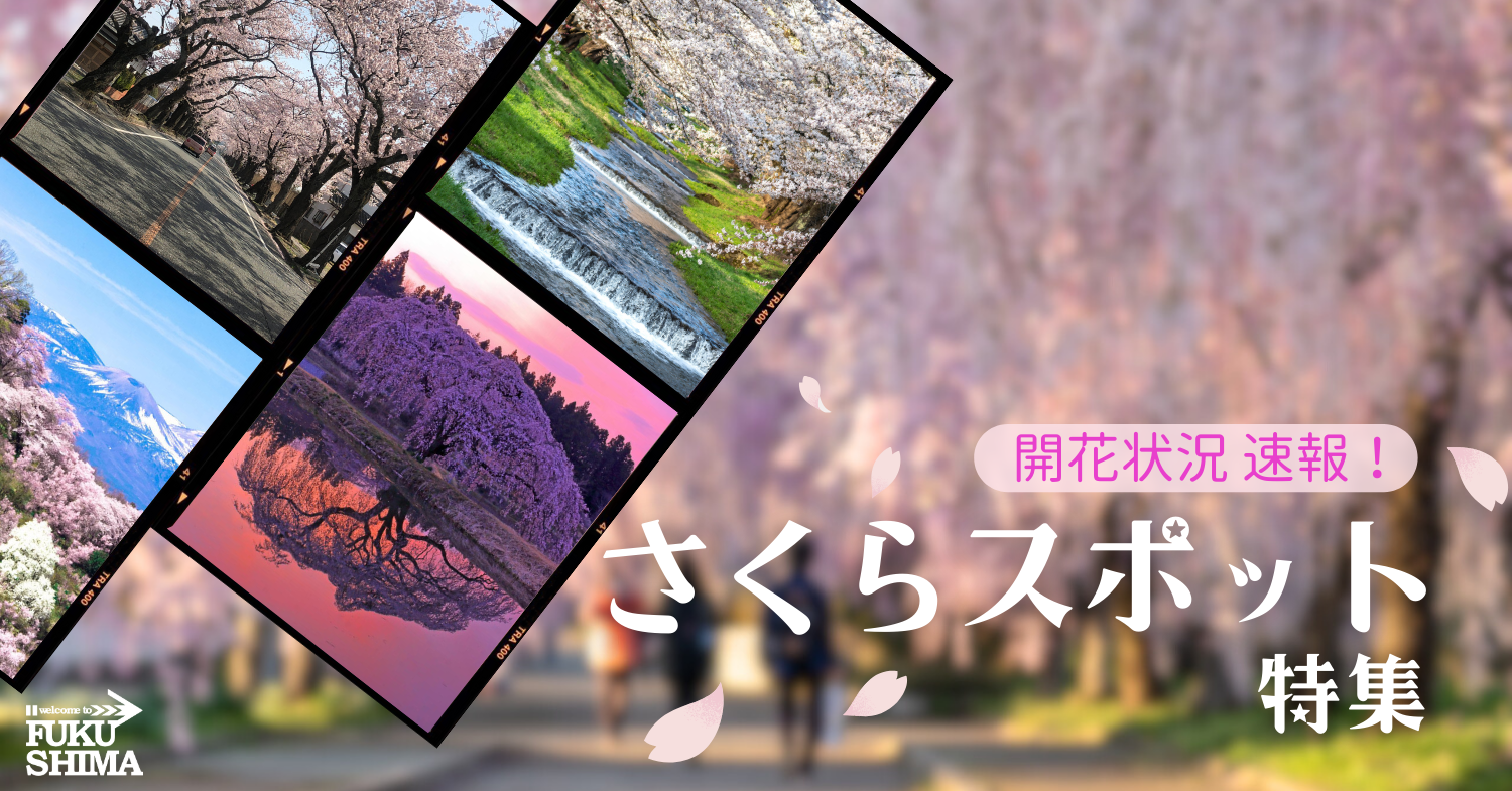 まだまだ桜満開🌸 | 万葉のさとは神奈川県川崎市と横浜市の溝の口,梶が谷,西寺尾,大口,青葉台にリハビリテーション デイサービス（通所介護）