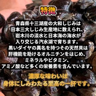 冷凍】十三湖産大和しじみ 砂抜き済：青森県産のシジミ｜食べチョク｜産地直送(産直)お取り寄せ通販 - 農家・漁師から旬の食材を直送