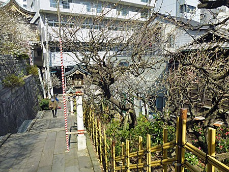 チャイナから町中華になった稀有な例 萬寿閣＠湯島 下関マグロ｜町中華探検隊