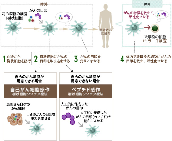 当院の治療説明会｜瀬田クリニック通信｜瀬田クリニック東京