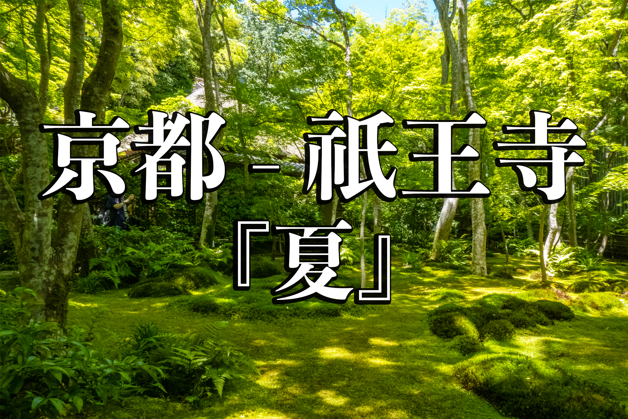 しっとり、はんなり。雨の似合う京都「宇治」「大原」で《あじさい＆甘いもの巡り》 | キナリノ