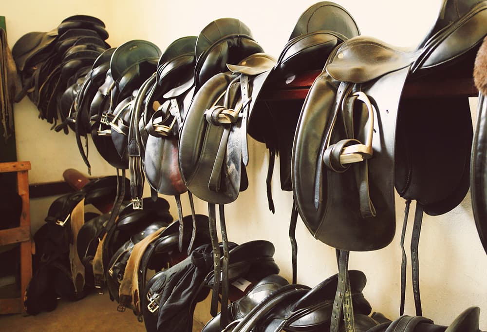 アメリカの馬具屋さんソマティックライディング