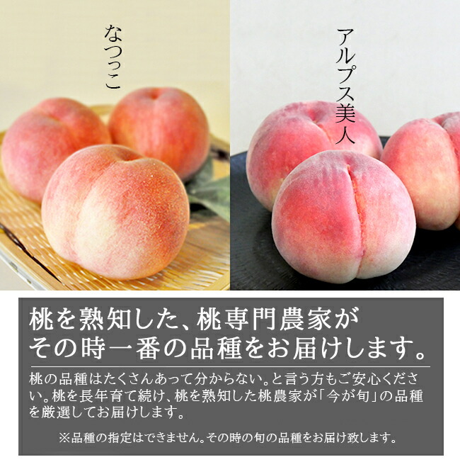 Amazon.co.jp: Fruits Design Factory 国産