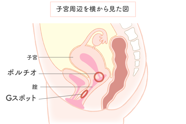 胸のGスポットで胸イキ！スペンス乳腺開発 - 夜の保健室