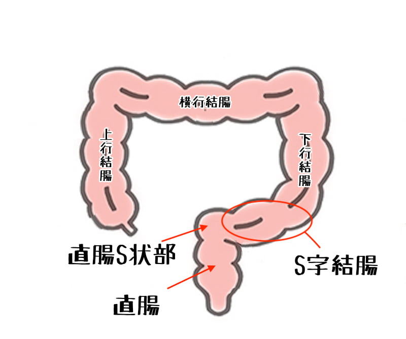 9日間で行うポリネシアンセックスからの淫語•結腸調教のススメ | カバー掛け機(あかこ)【3日S01b/5日い16】 | OFUSE