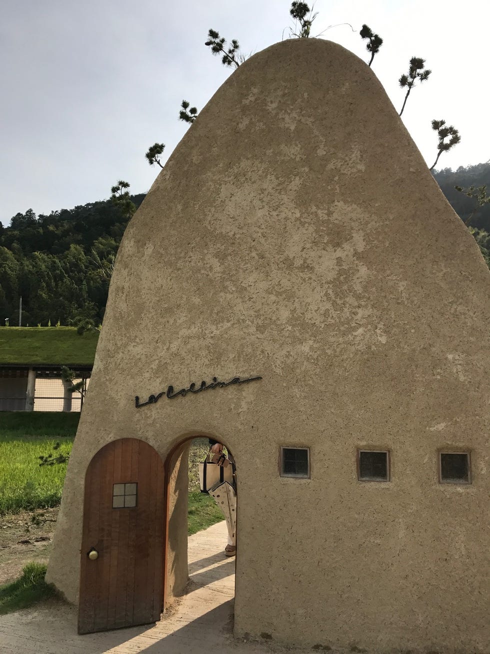 建築家・藤森照信が手がけた草屋根が話題に！ 自然に溶け込むスイーツショップ 「ラ・コリーナ近江八幡」 -casa