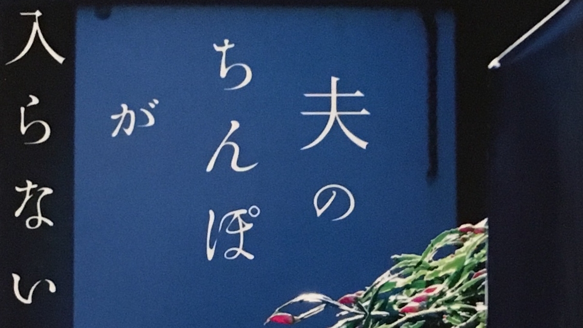 灼熱ちんぽ将軍 (しゃくねつちんぽしょうぐん)とは【ピクシブ百科事典】