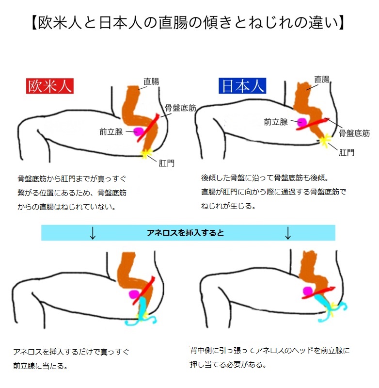 前立腺の健康を促進するアネロスから「PSY」の新発売を発表！ - パインズインターナショナル株式会社のプレスリリース