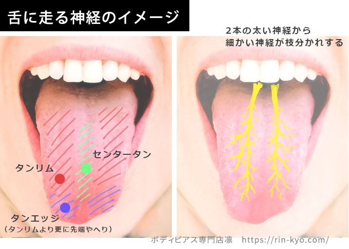 1ヶ月ほど前に舌ピアスを病院で開けました。ボールが埋まってしまうので - Yahoo!知恵袋