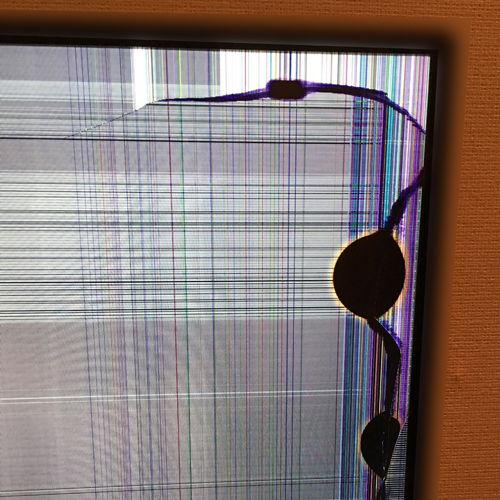 ニンテンドースイッチ 液晶割れ表示不良 TVモード利用可 修理 Switchの画面が割れ