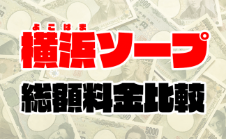 風俗の種類と料金】サービス・相場の違いが一目でわかる簡単まとめ！ - みんげきチャンネル